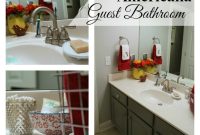 Americana Guest Bathroom Remodel Ideas