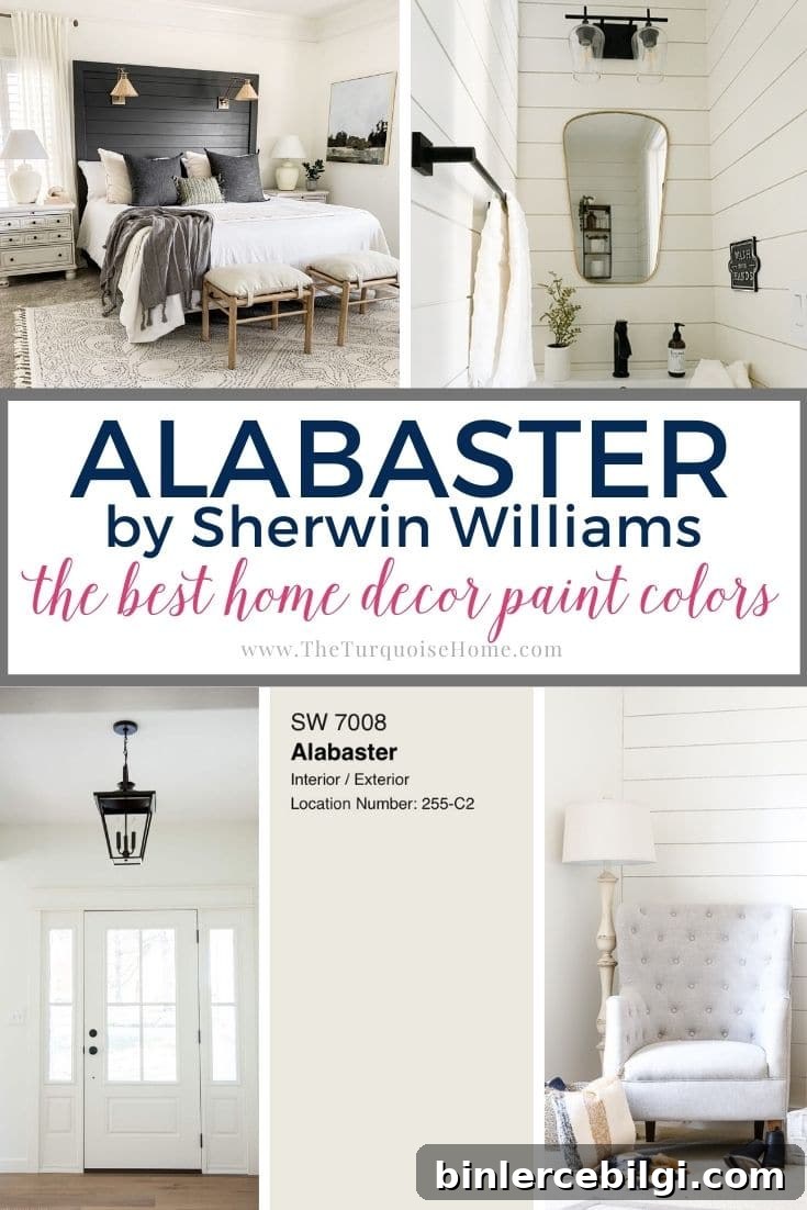 featured 40142
