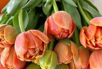 Green Paint Ideas to Refresh Spring Dining Rooms and DIY Decor