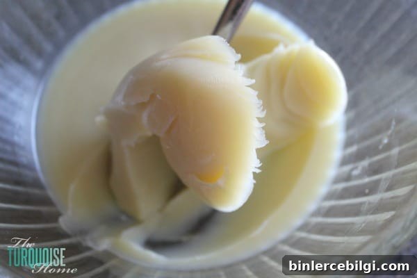 DIY Natural Body Butter Recipe for Silky, Hydrated Skin 5 Homemade All-Natue Body Butter Recipe | TheTurquoiseHome.com