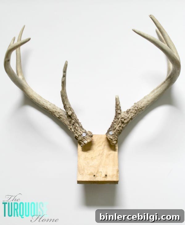 DIY Plush Deer Head | TheTurquoiseHome.com