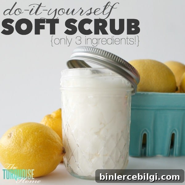 Collection of cleaned surfaces using homemade soft scrub