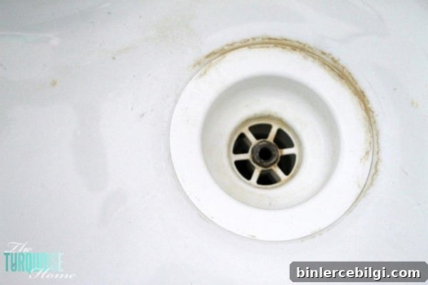 Applying DIY soft scrub to sink drain ring