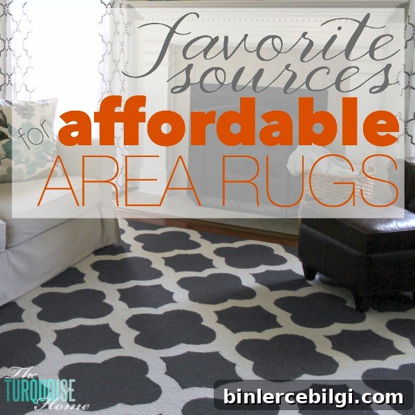A good area rug makes or breaks a room. Size, quality and style all play a big part! But some of them can be pricy!! Find out these favorite sources for affordable area rugs.