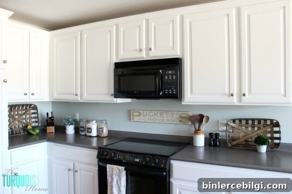 Kitchen painted in Sea Salt (Sherwin Williams)