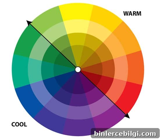 How to Design a Cohesive Whole-House Color Palette 4 Using the color wheel, it's easy to see what are cool and warm colors, which help up choose a whole house color palette.