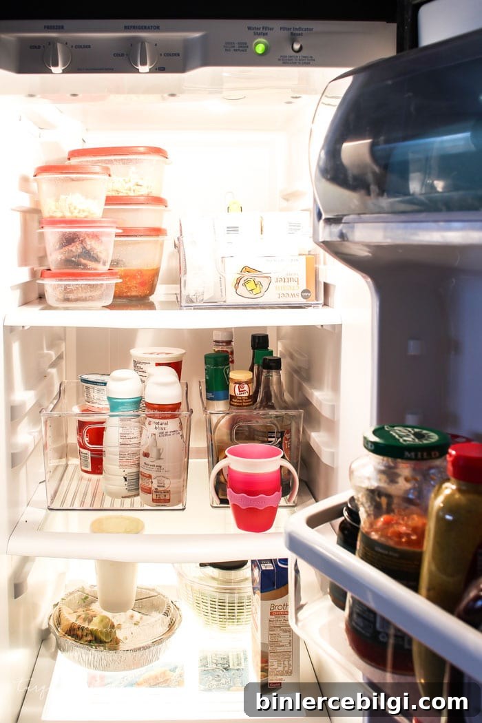 Tips for Refrigerator Organization | 30 Days to Less of a Hot Mess