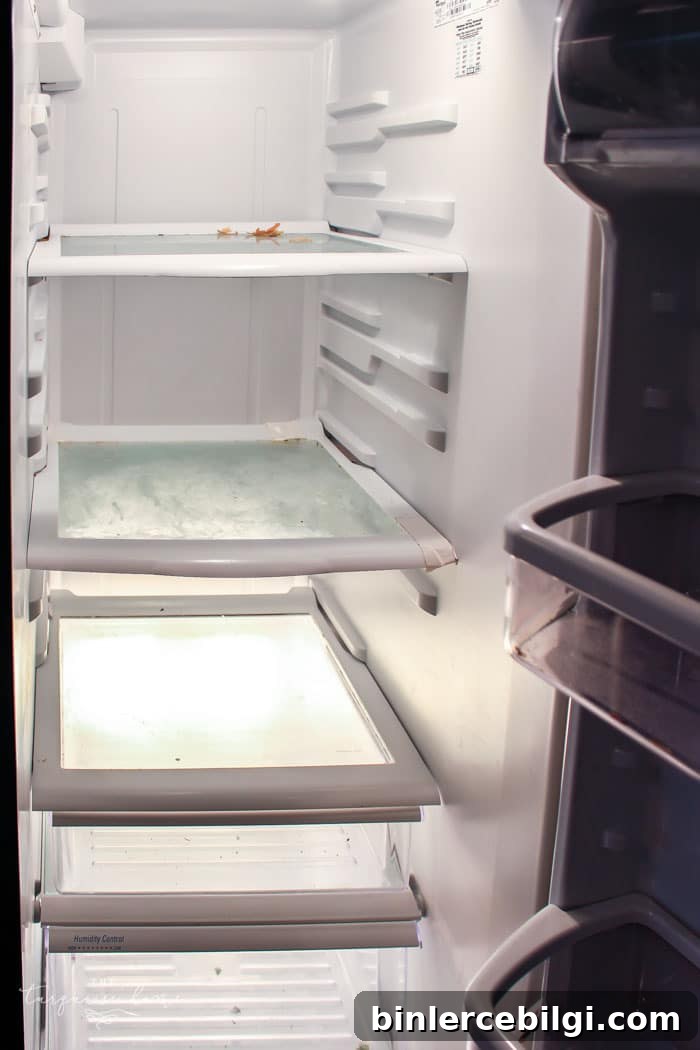 Cleaning the refrigerator