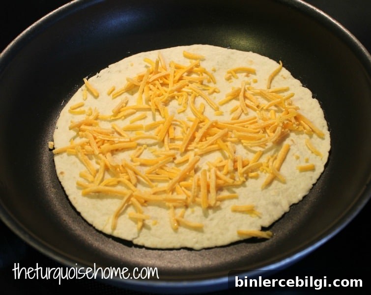 Chicken Quesadilla Recipe with a Secret Ingredient 4 Assemble chicken quesadilla with cheese and sauce