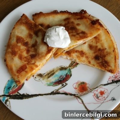 Chicken Quesadilla Recipe with a Secret Ingredient 8 Easy Chicken Quesadilla with a Secret Ingredient!