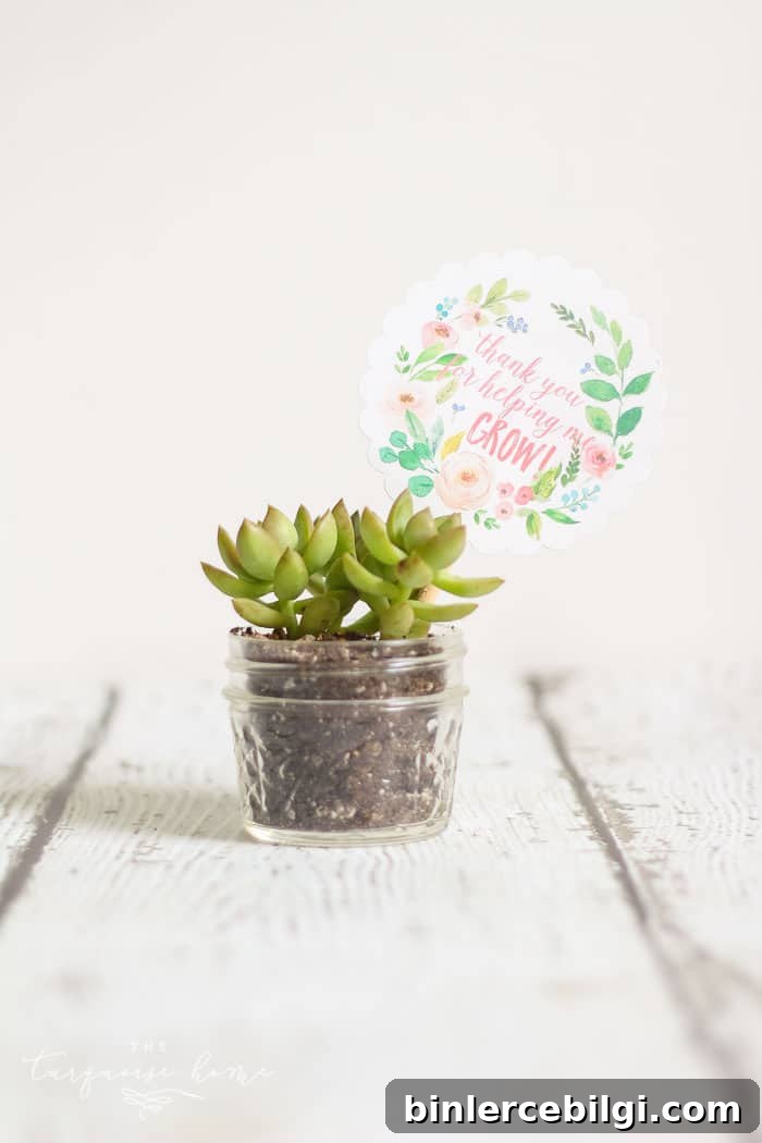 Love this! So simple and easy!! This succulent plant is just one of the teacher gift ideas for Teacher Appreciation and Mother's Day with free printable.