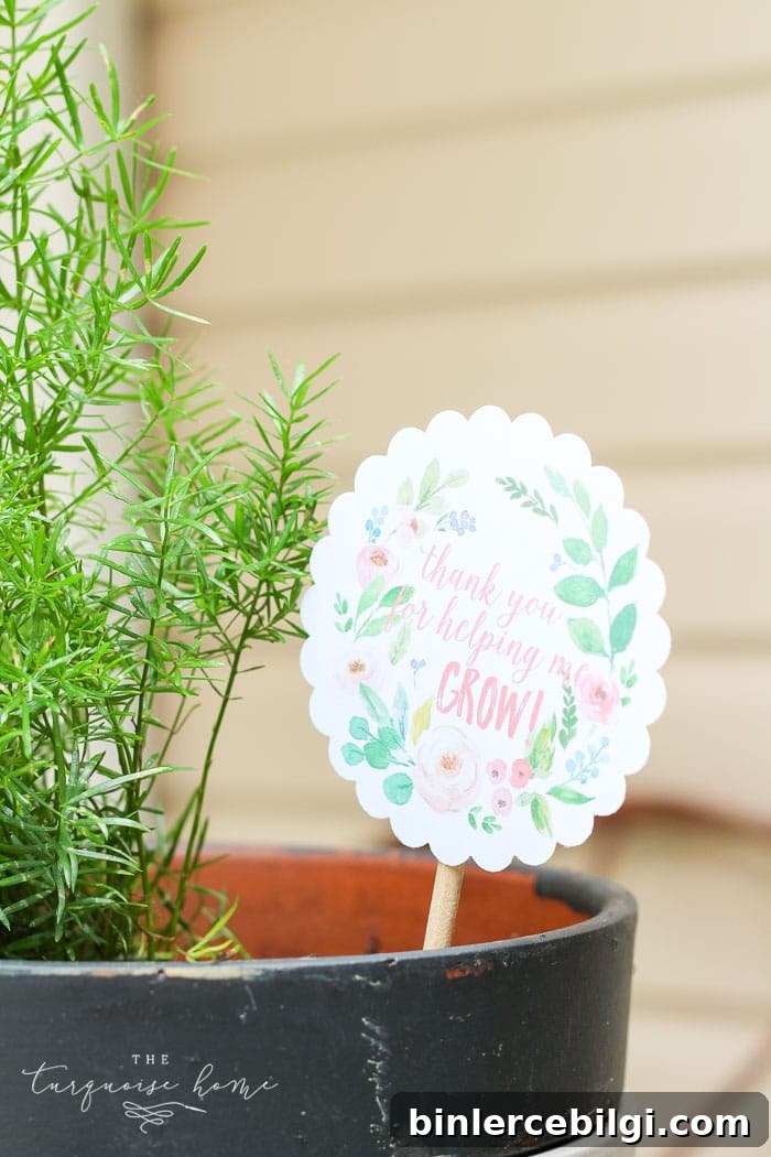 Love this! So simple and easy!! This DIY planter with a silhouette apple is just one of the teacher gift ideas for Teacher Appreciation and Mother's Day with free printable.