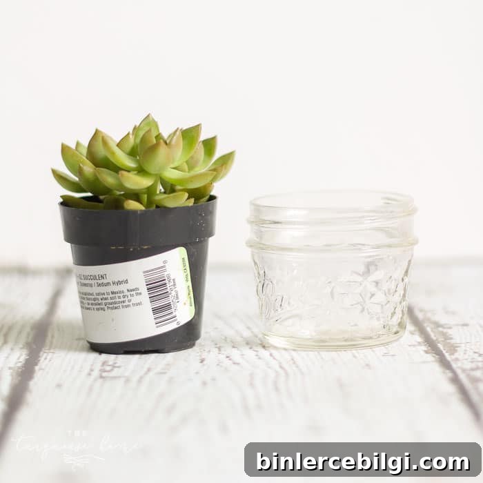 Love this! So simple and easy!! This succulent plant is just one of the teacher gift ideas for Teacher Appreciation and Mother's Day with free printable.