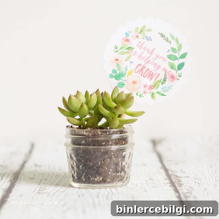 Love this! So simple and easy!! This succulent plant is just one of the teacher gift ideas for Teacher Appreciation and Mother's Day with free printable.