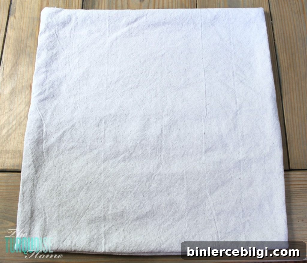DIY Stenciled Drop Cloth Pillow #diy #dropcloth #silhouette