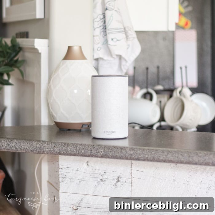 How to be efficient with a smart home device like the Amazon Echo or Google Home
