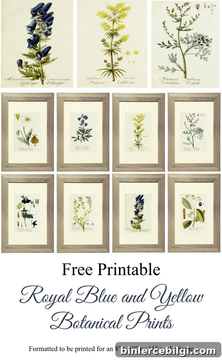 Royal Blue and Yellow Free Botanical Prints