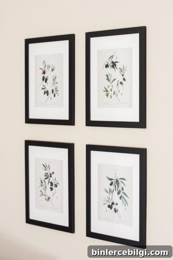Olive Gallery Botanical Prints