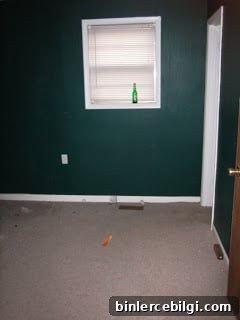 img 278 1