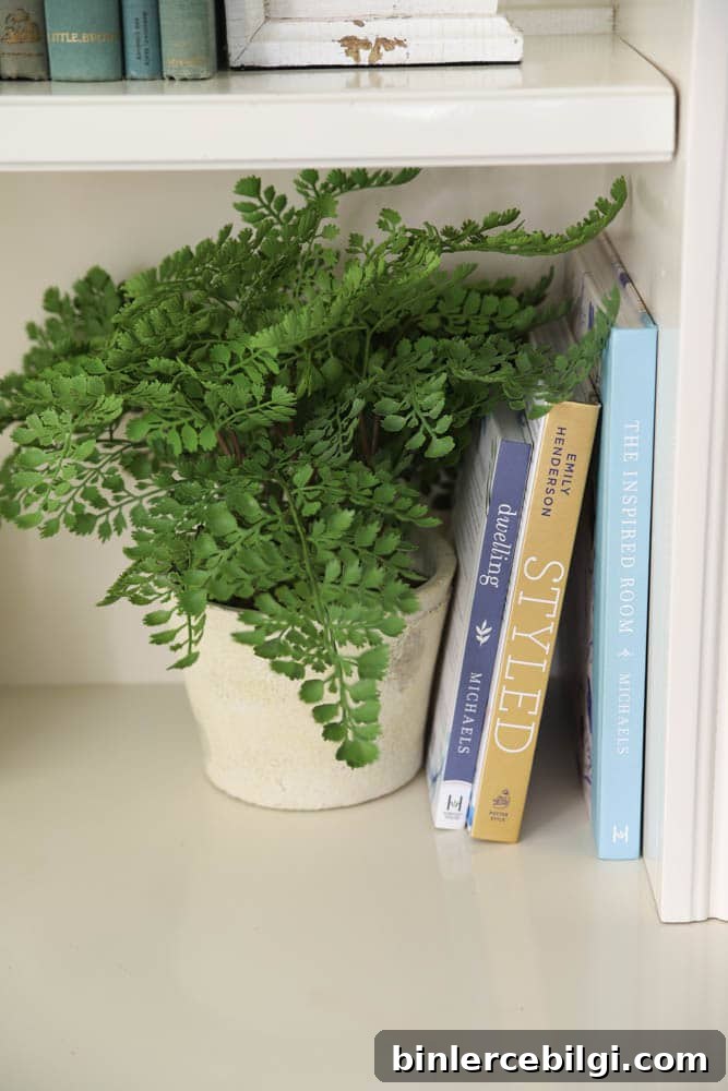 summer bookshelves with a faux fern plant.