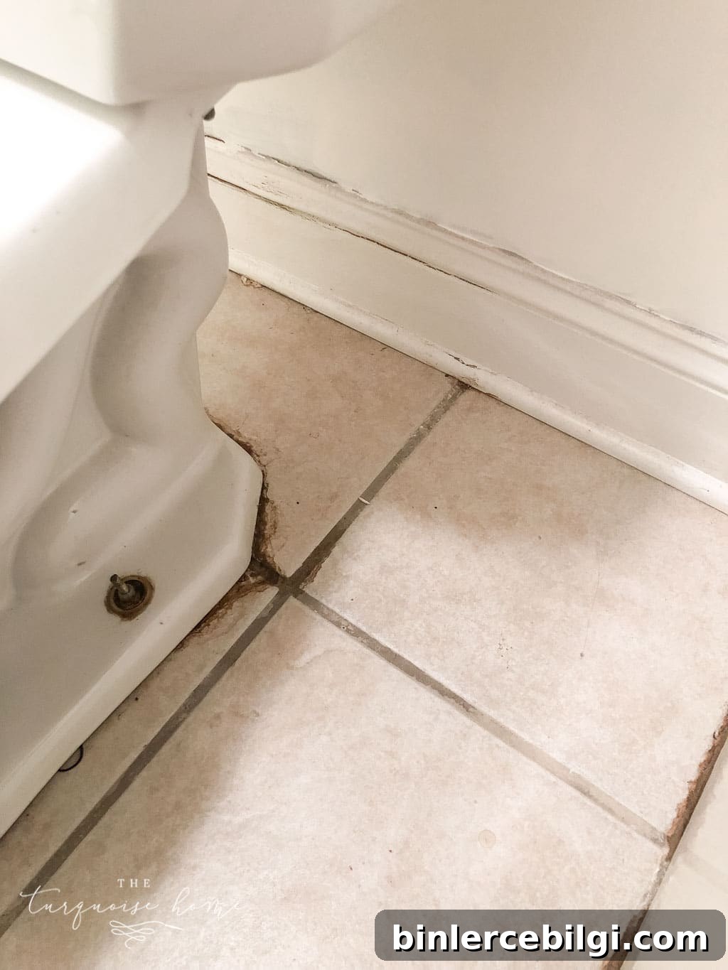 How to use grout paint - before pictures of gross, stained grout
