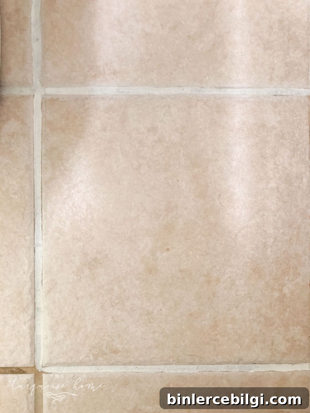 How to use grout paint and make grout white again! Use Polyblend Grout Renew! DIY Tutorial