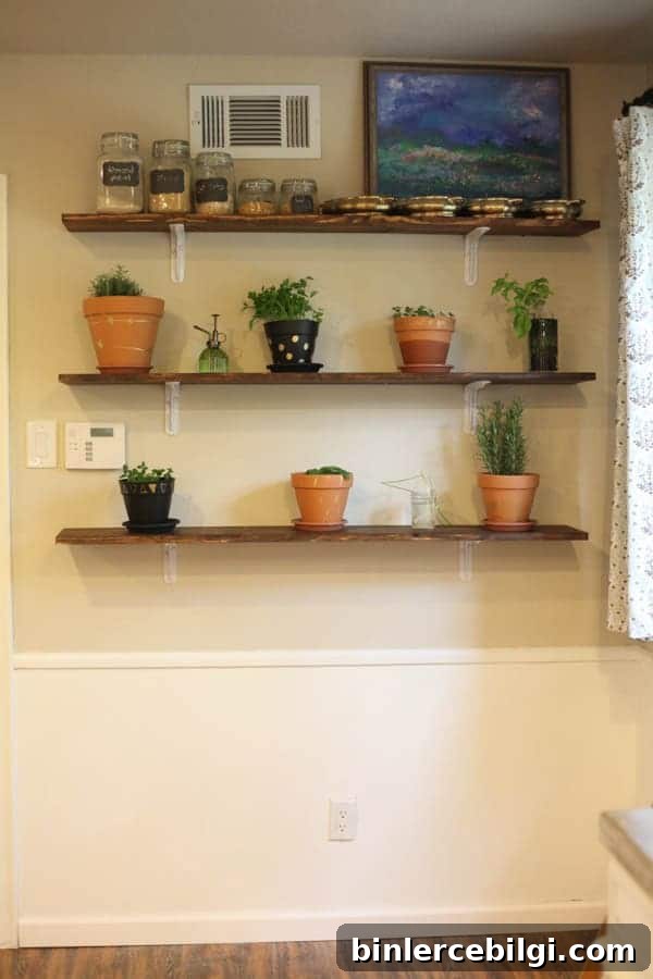 Affordable DIY Shelving Ideas to Maximize Home Storage 5 Herb Wall Kitchen Shelves