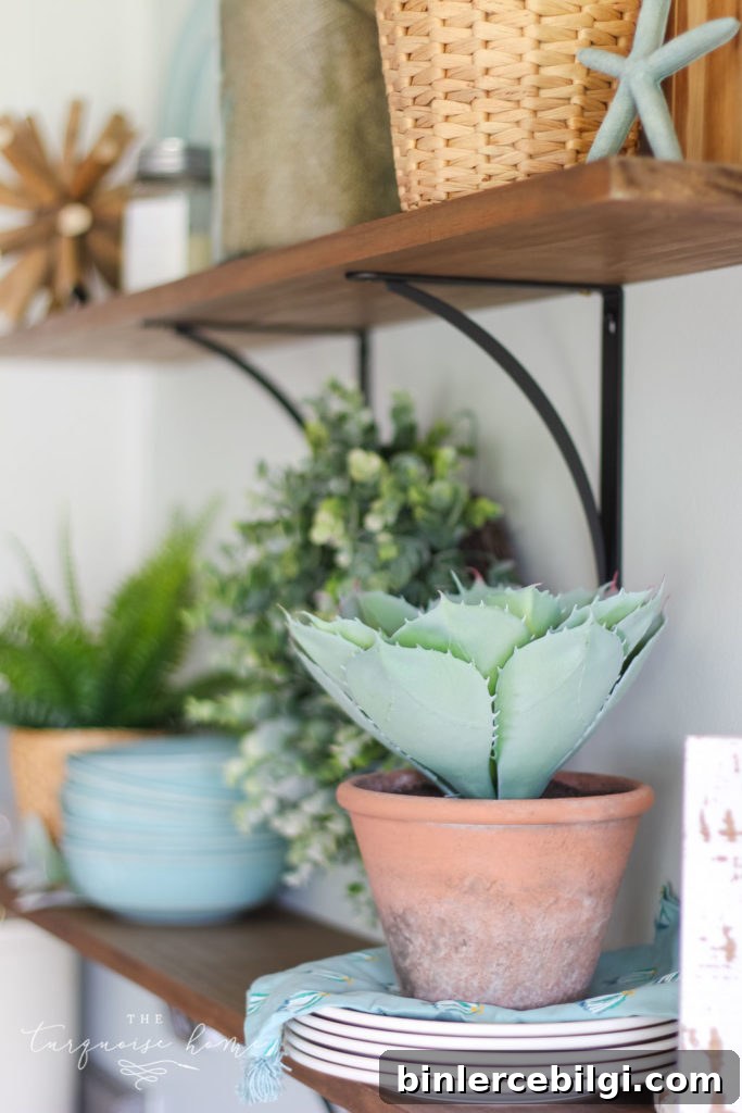 A Simple Peachy Summer Kitchen - terra cotta pot with cactus