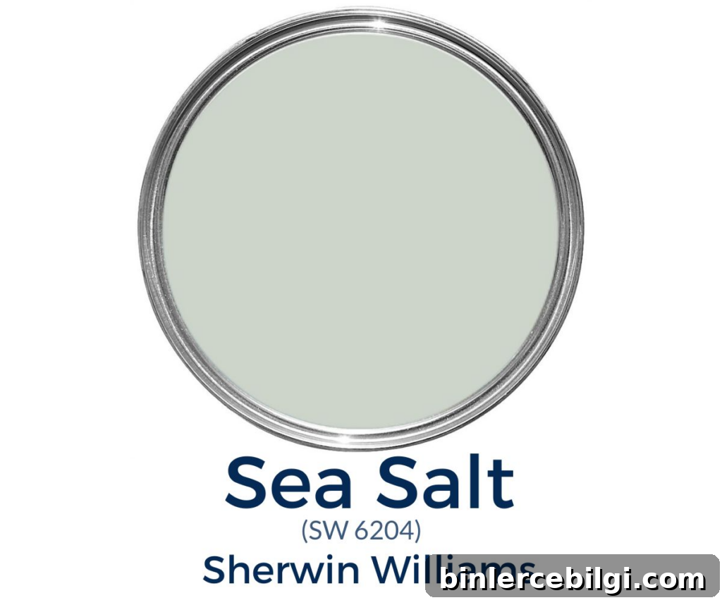 Sea Salt by Sherwin Williams