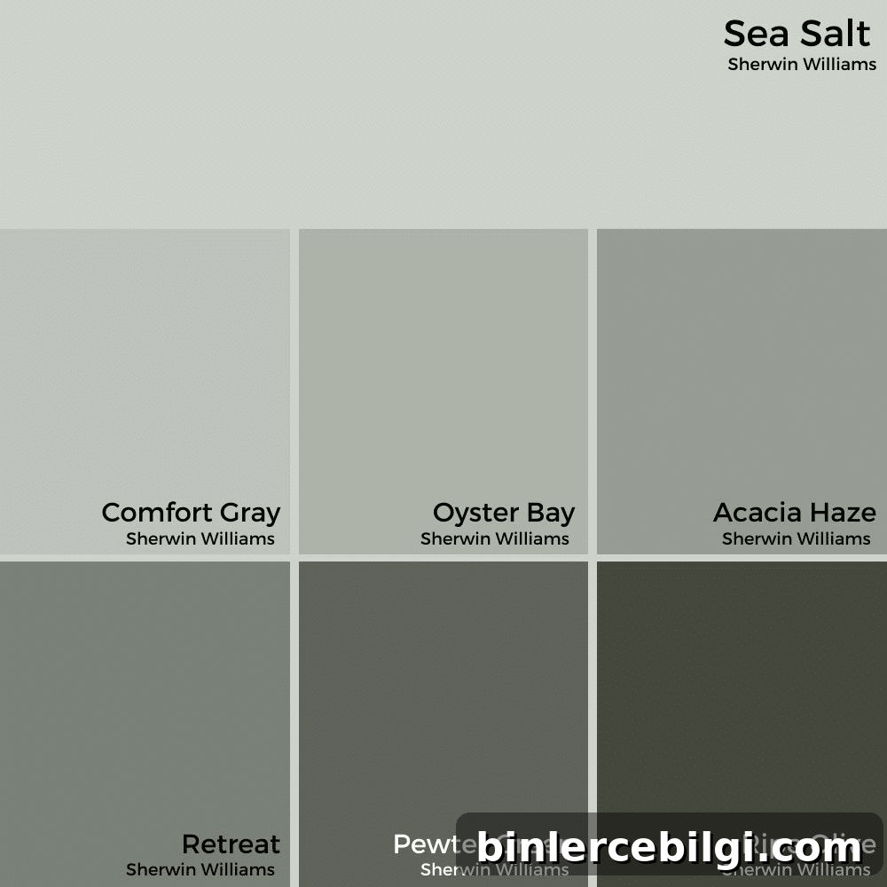 Sea Salt Paint Color Strip
