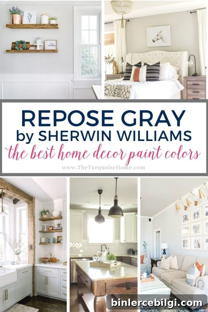 Repose Gray by Sherwin Williams is one of the most popular gray colors - and for good reason. It looks good in almost any room!