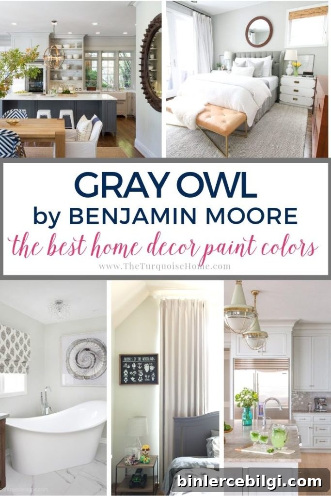 Gray Owl by Benjamin Moore
