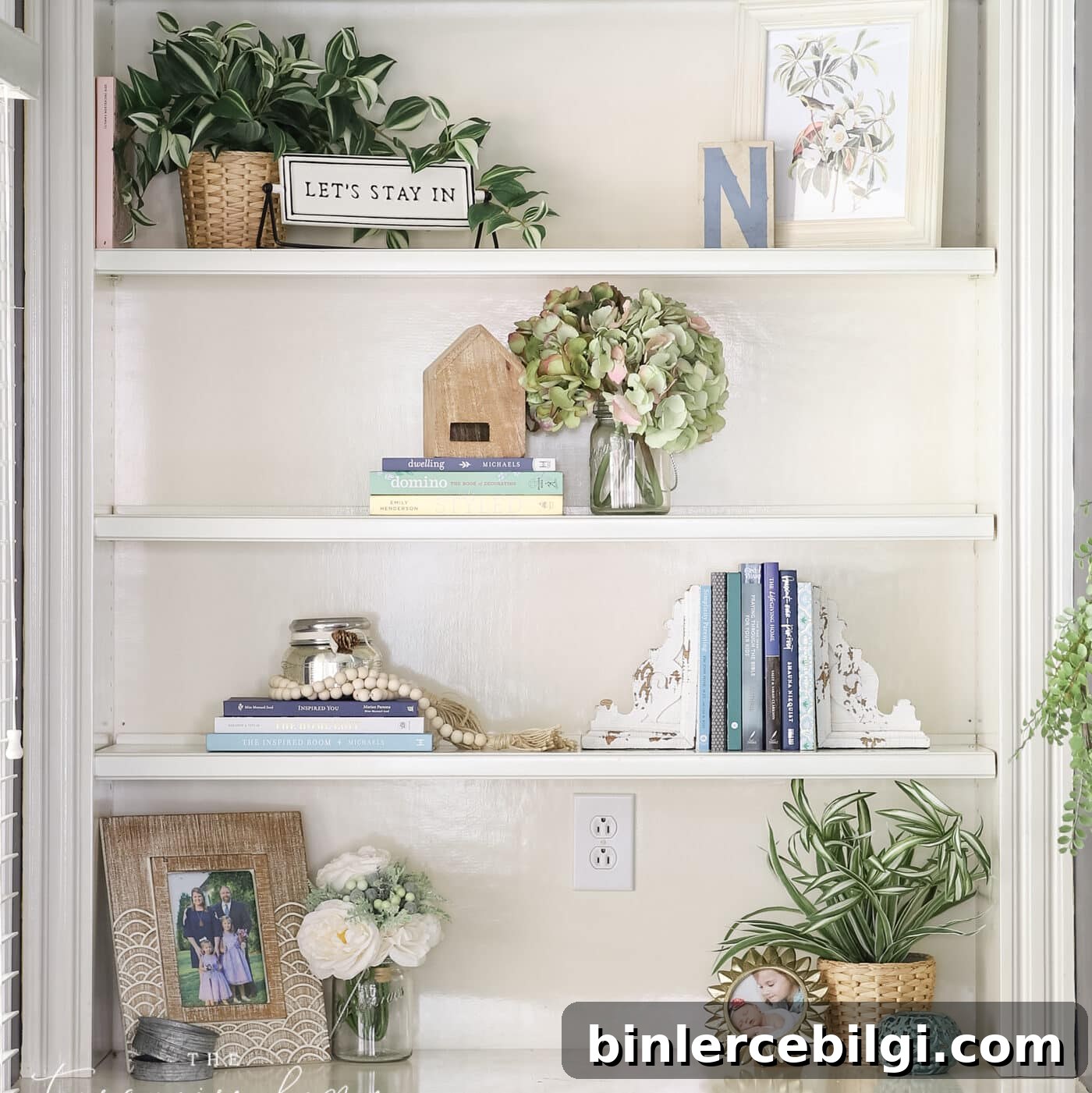 plants on bookshelf