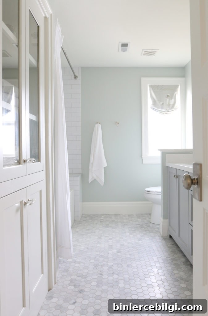Sea Salt by Sherwin Williams is a gorgeous green/gray/blue color perfect for a master bathroom!