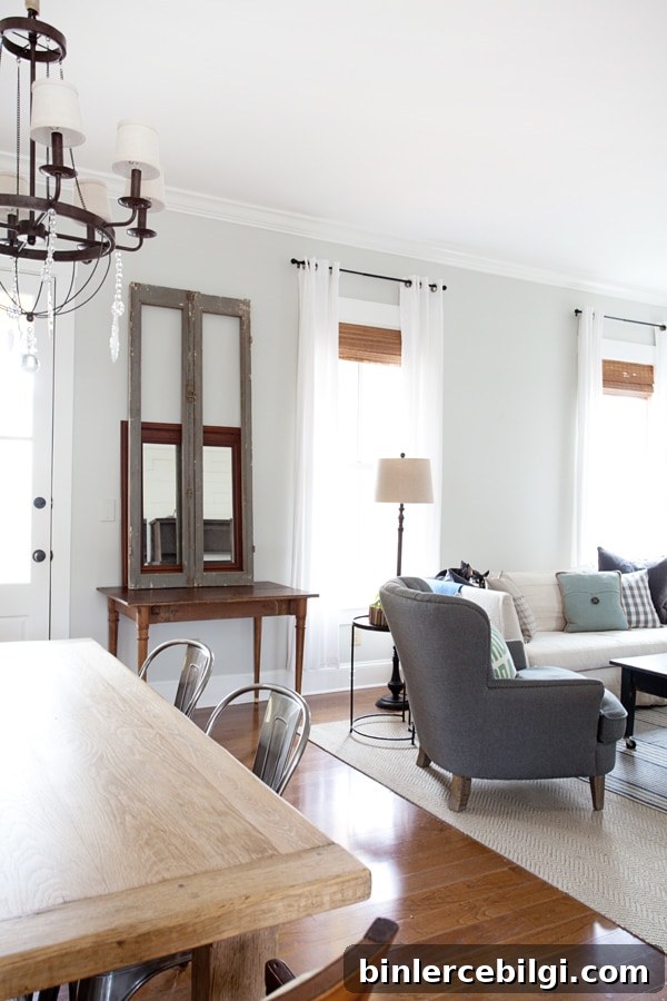 Gray Owl | Living Room Paint Colors