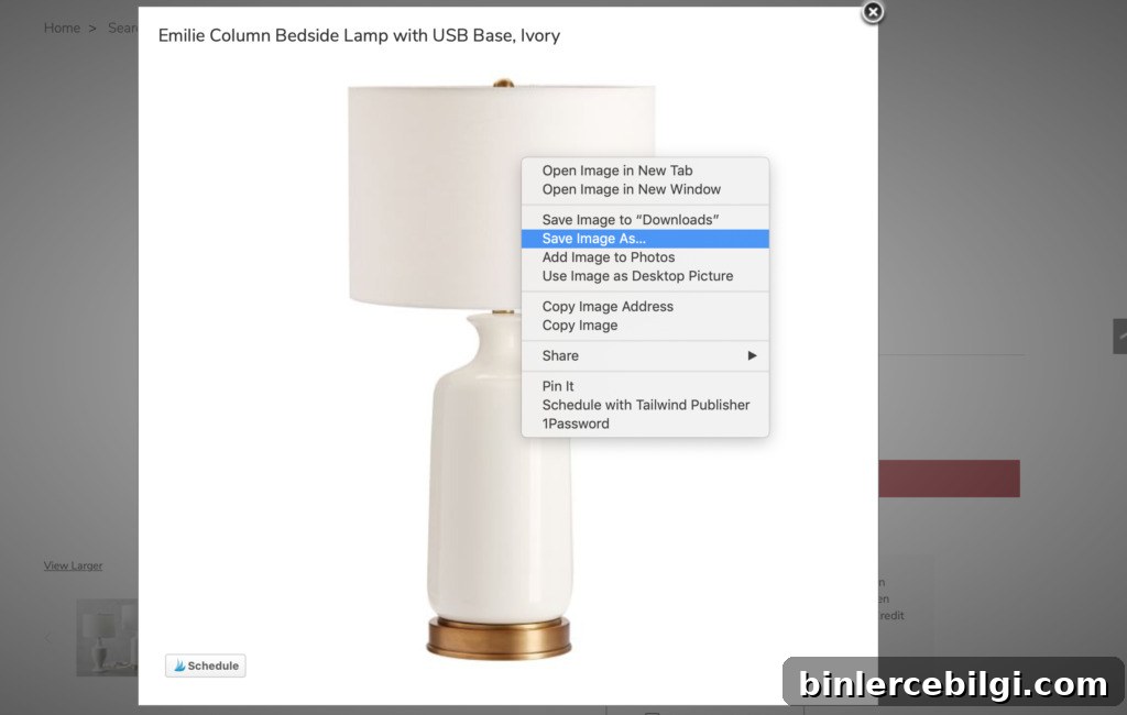 How to save design element images for a design mood board