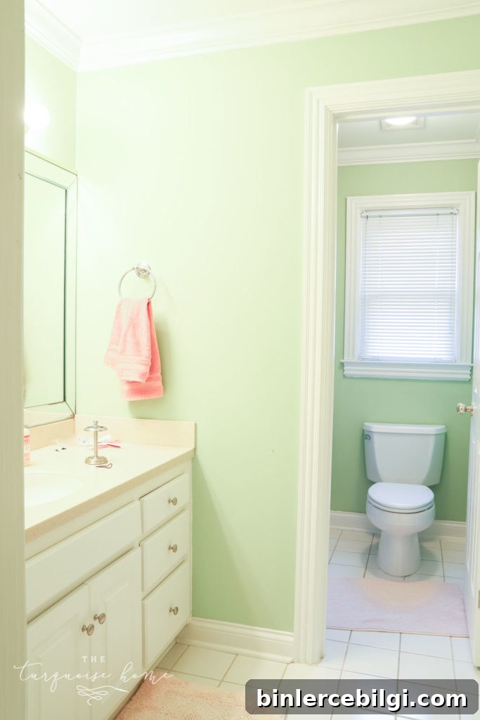 Girls' bathroom in the new house.