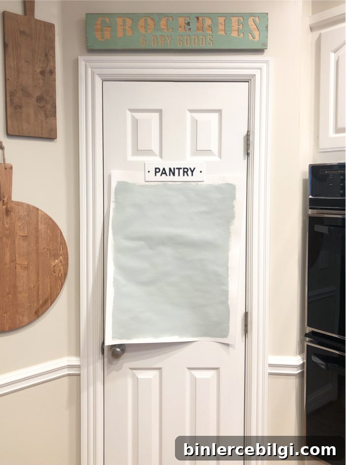 Sample of Comfort Gray Painted on a Door
