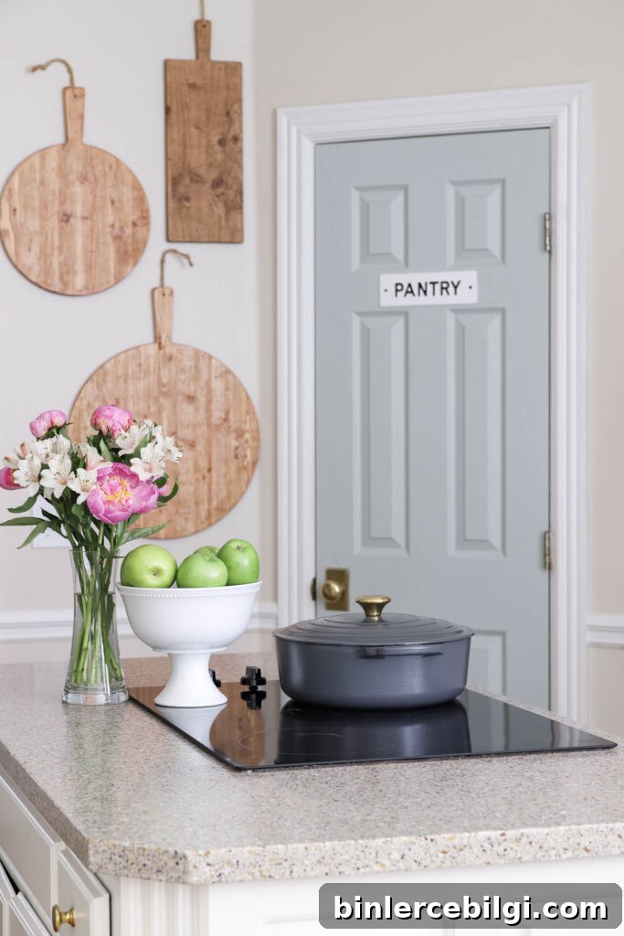 Comfort Gray Pantry Door