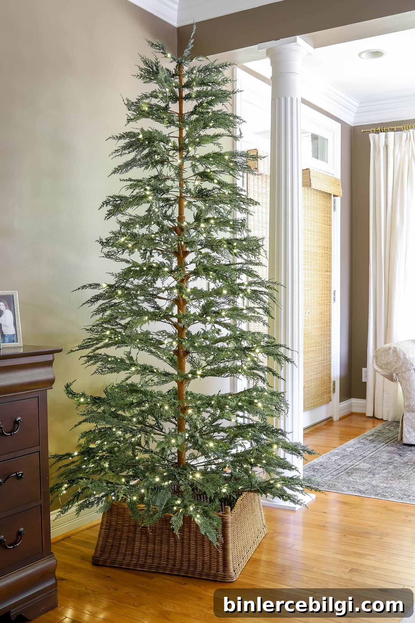 sparse Christmas tree with square tree collar.
