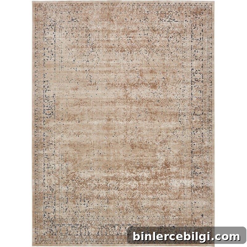 Abbeville Oriental Area Rug