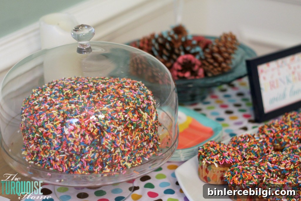 Sprinkle Cake and Cupcakes