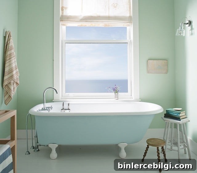Sunny bathroom with walls painted in Palladian Blue
