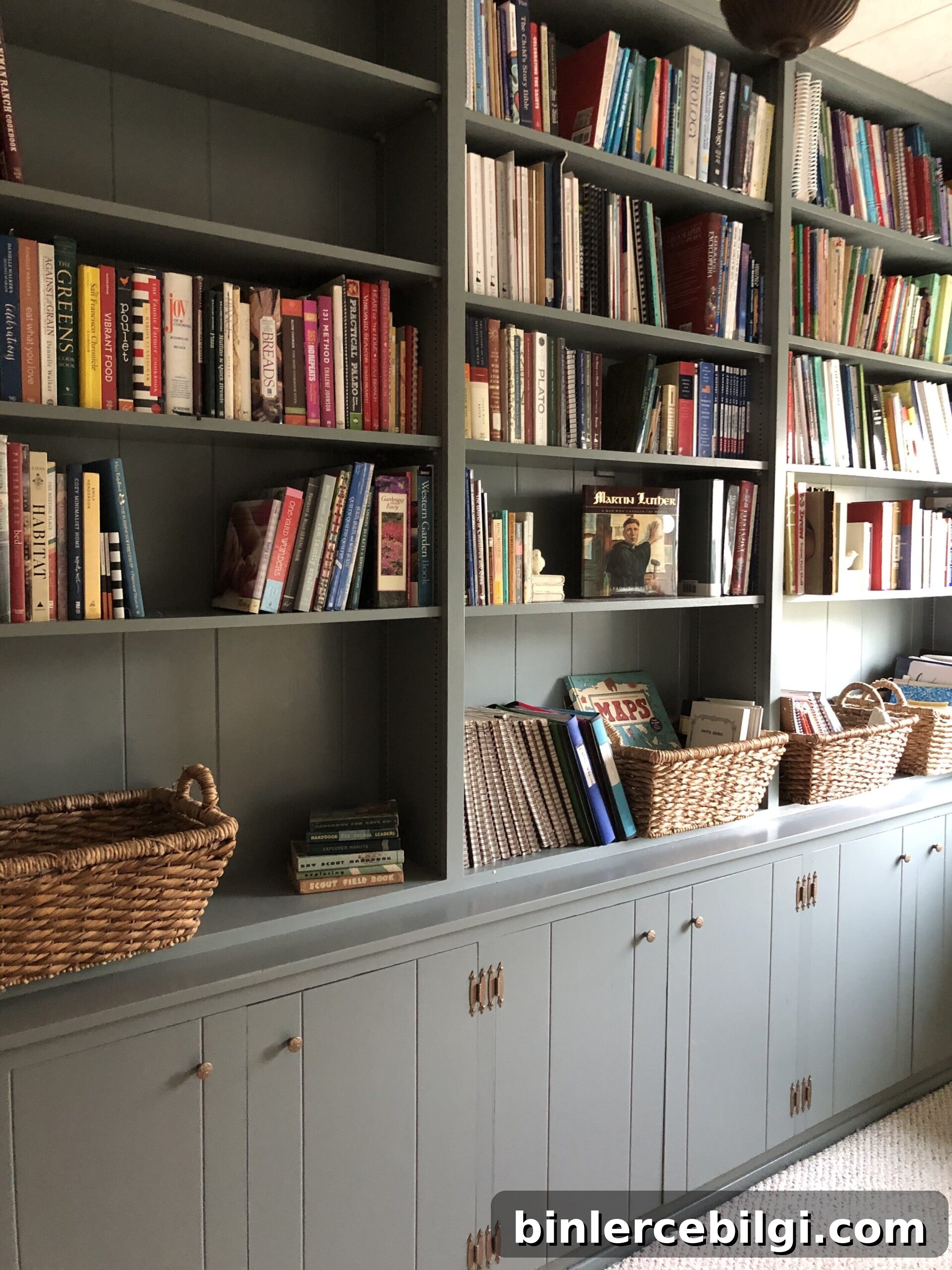 Benjamin Moore Night Train on built-in bookcases
