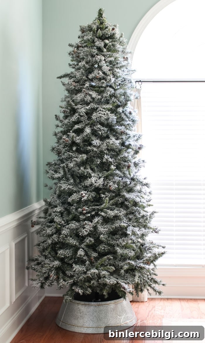 Galvanized Tree Collar