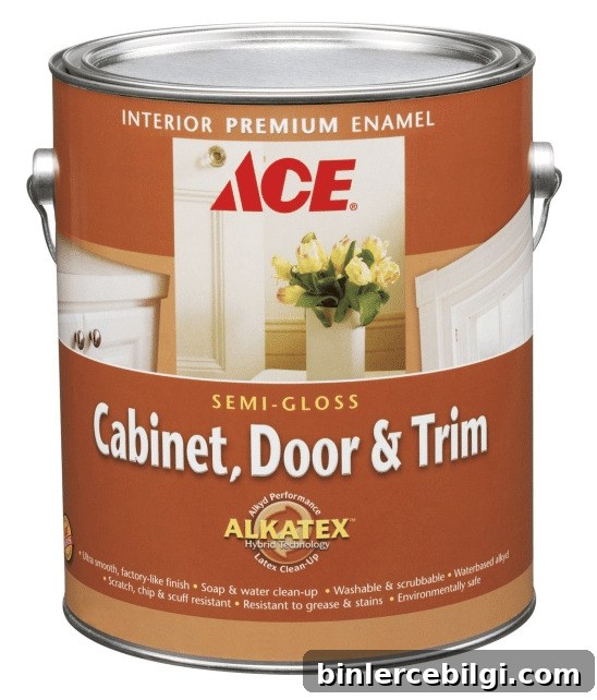 Ace Hardware Cabinet, Door and Trim Paint