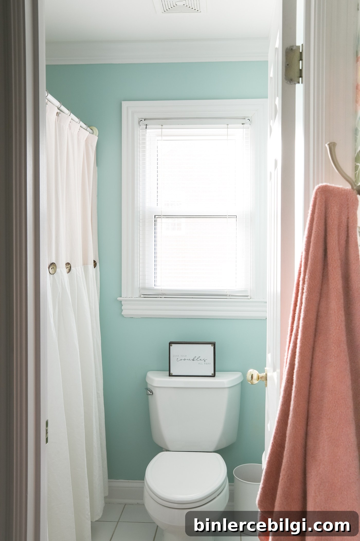 Girls' Bathroom in Behr's Baby Aqua, Satin Finish