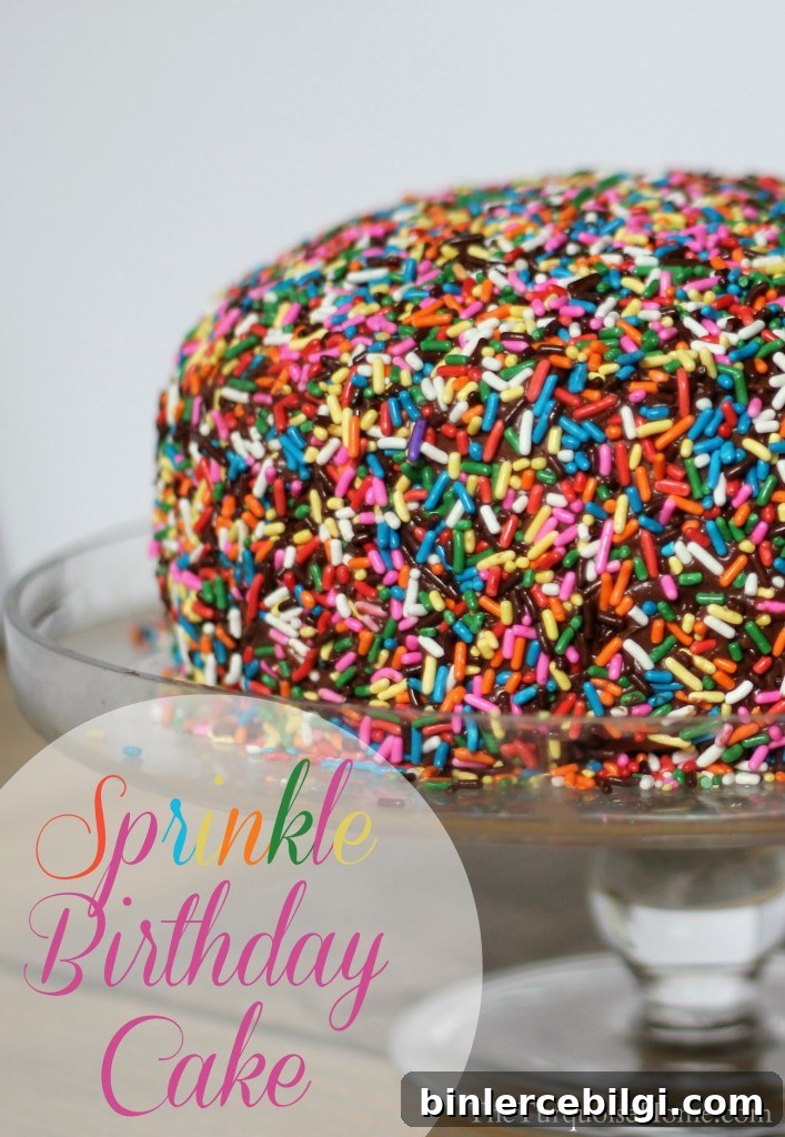 Sprinkle Birthday Cake #sprinkles #birthday