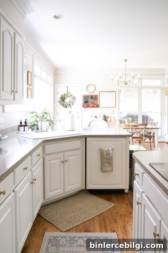 Kitchen Sink Rug and Runner