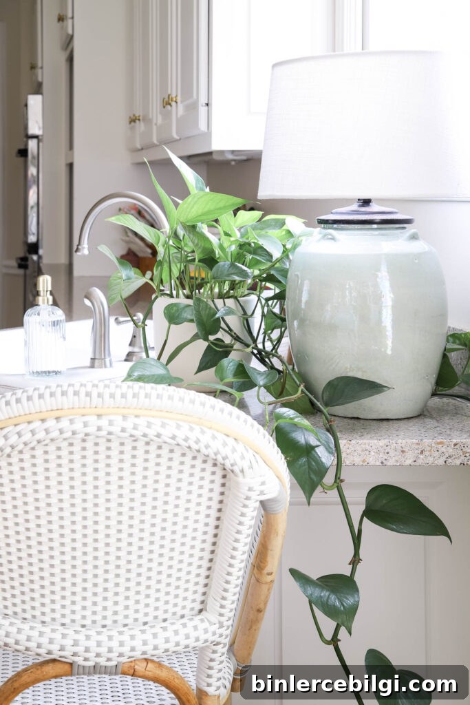 Marble Pothos In the Kitchen